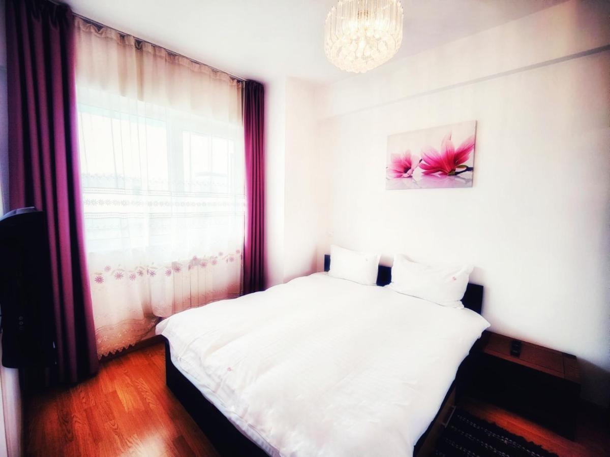 Business Apartments クルージュ＝ナポカ エクステリア 写真